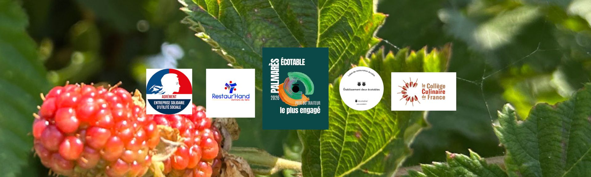 Neutral Minimalist Business Proposal Docs Banner.png